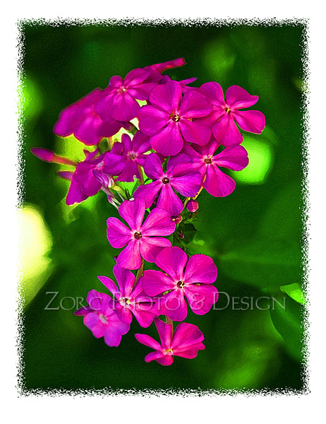 Spring_I