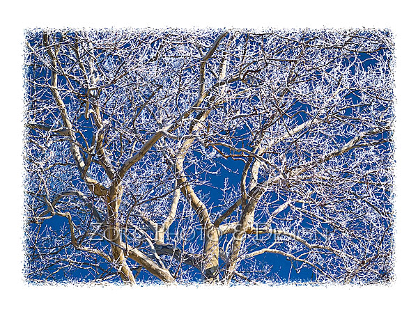 Winter_I